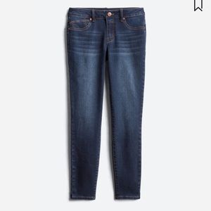 🛑SHOP CLOSING! 1822 Denim Rayne Skinny Jean